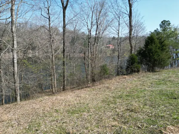 0 Canyon Run Rd, Lewisburg, KY 42256