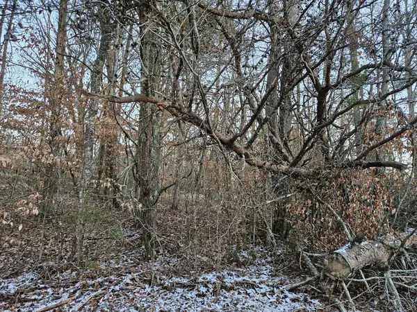 0 Pollard Cemetery Road, Walling, TN 38587