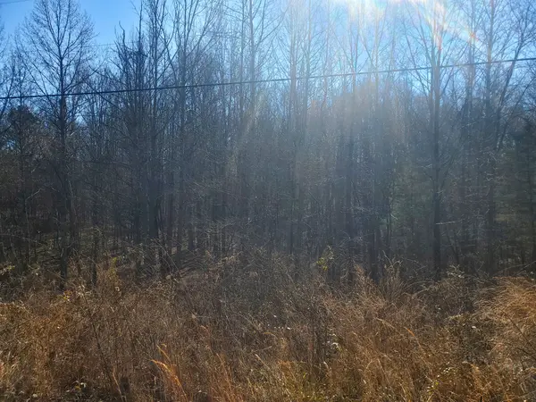 0 Summer Breeze Dr, Smithville, TN 37166
