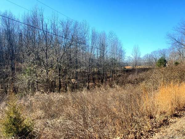 0 Summer Breeze Dr, Smithville, TN 37166