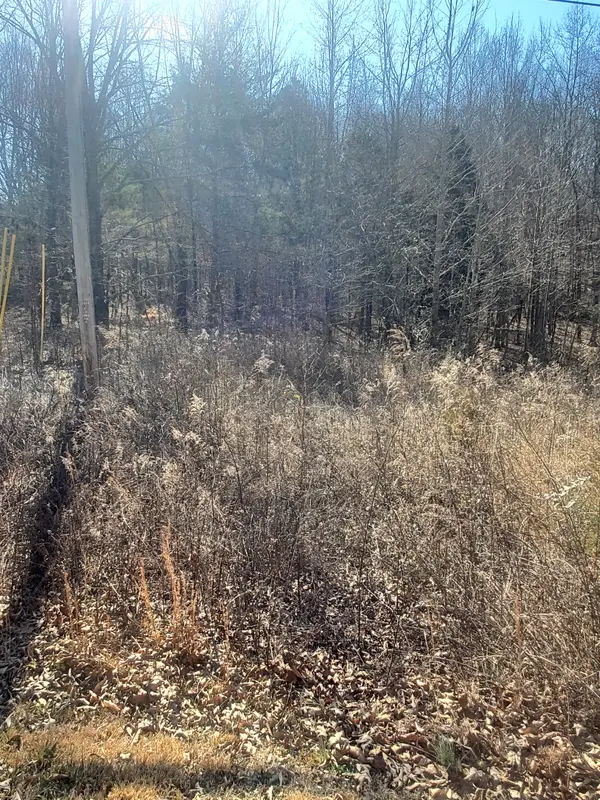0 Summer Breeze Dr, Smithville, TN 37166