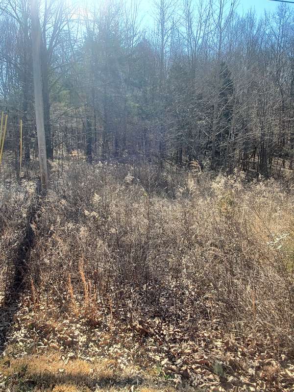 0 Summer Breeze Dr, Smithville, TN 37166
