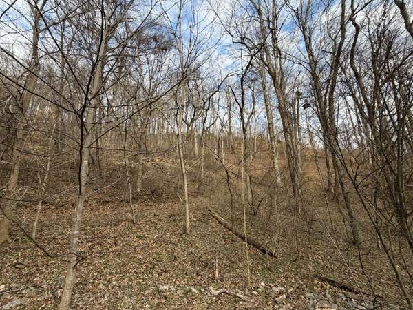 0 Bayside Drive, Lancaster, TN 38569