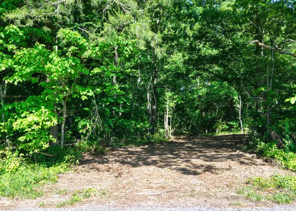 1622 Monteagle Falls Road, Monteagle, TN 37356