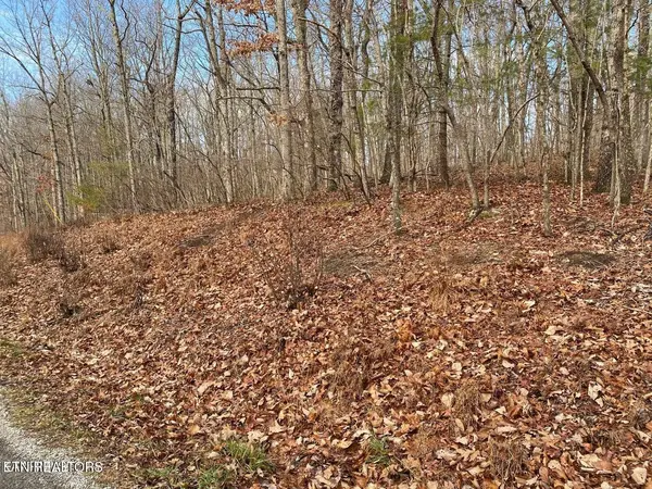 116 Overlook Cove, Crossville, TN 38558