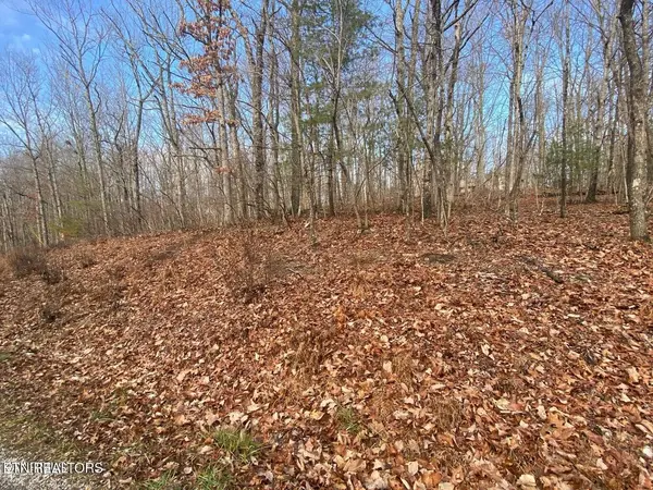 116 Overlook Cove, Crossville, TN 38558