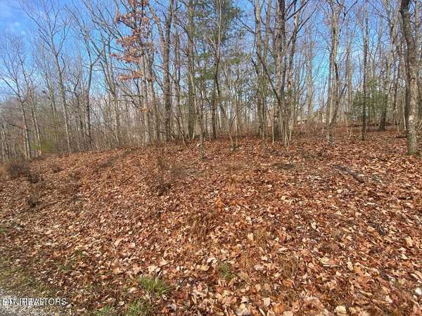 116 Overlook Cove, Crossville, TN 38558