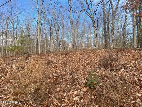 116 Overlook Cove, Crossville, TN 38558