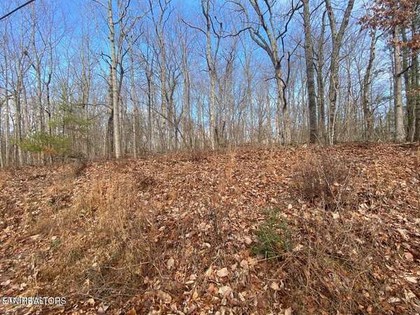 116 Overlook Cove, Crossville, TN 38558