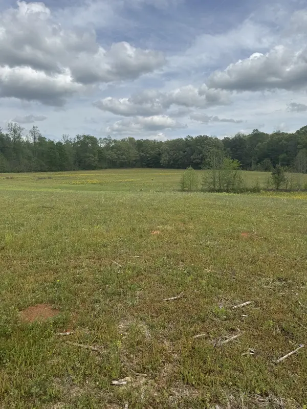 0 Taylor Cemetery Rd, Buena Vista, TN 38318