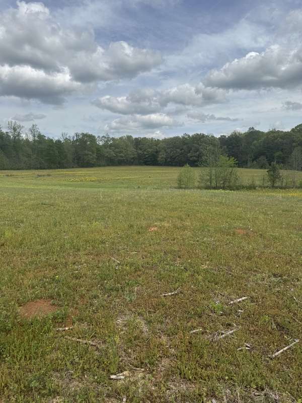 0 Taylor Cemetery Rd, Buena Vista, TN 38318