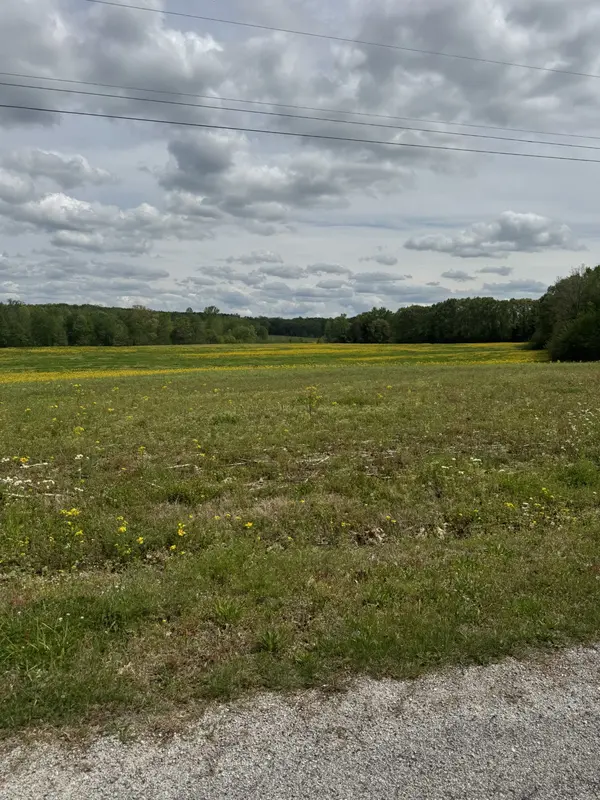0 Taylor Cemetery Rd, Buena Vista, TN 38318
