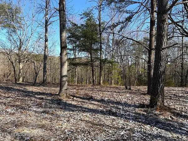 0 Under The Sun Rd, Cosby, TN 37722