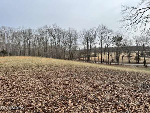41 Smith Mountain Rd, Rockwood, TN 37854