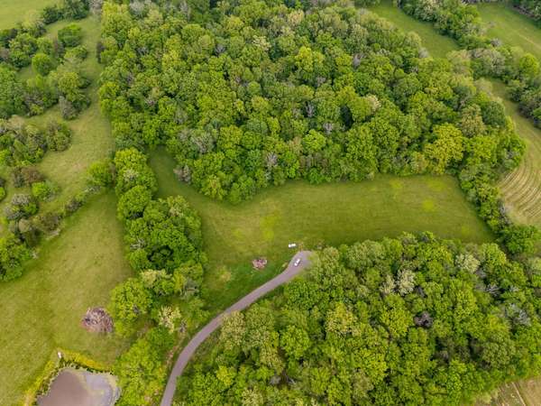 9023 Possum Trot Trail, College Grove, TN 37046