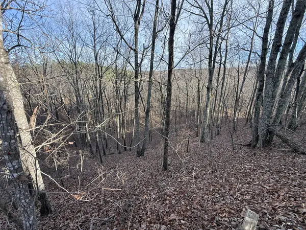 0 Richland Harbor Rd, Waverly, TN 37185