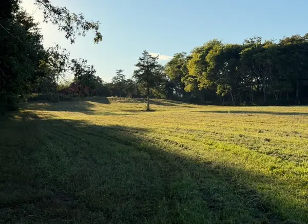 0 Minkslide Rd, Bell Buckle, TN 37020