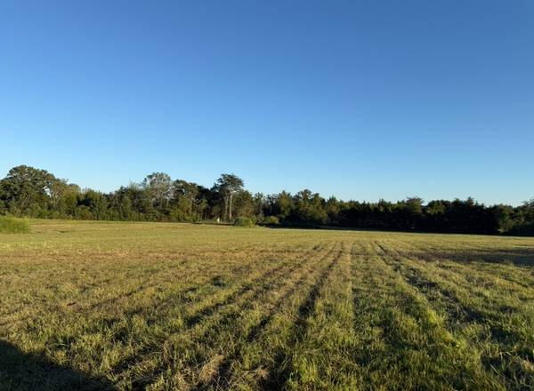 0 Minkslide Rd, Bell Buckle, TN 37020