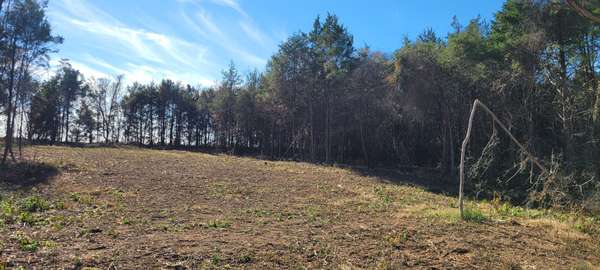 5 Mount Lebanon Church Rd, Shelbyville, TN 37160
