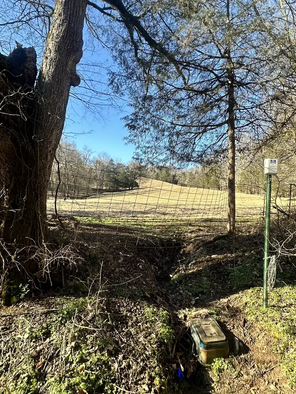 0 Oak Grove Rd, Belvidere, TN 37306