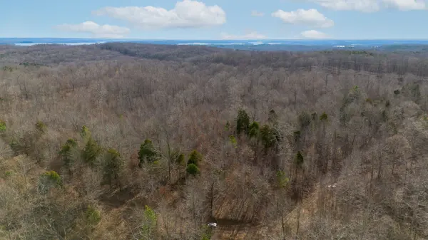 1 Olde Tennessee Trail, Springville, TN 38256