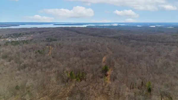 2 Olde Tennessee Trail, Springville, TN 38256
