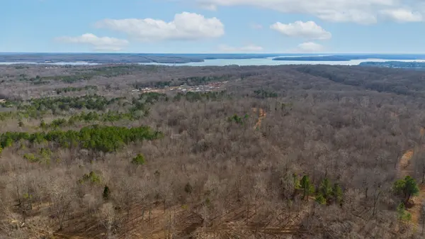 2 Olde Tennessee Trail, Springville, TN 38256