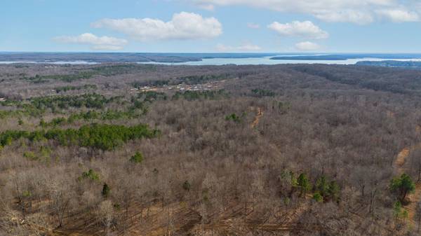 2 Olde Tennessee Trail, Springville, TN 38256