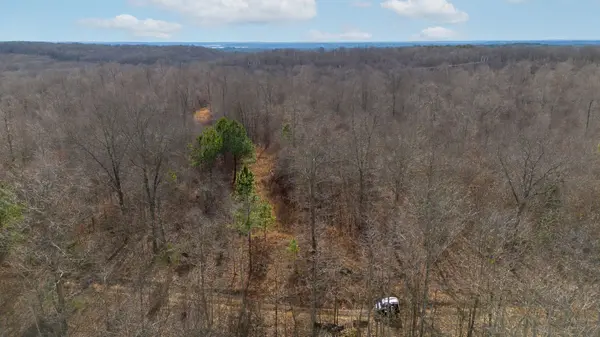 2 Olde Tennessee Trail, Springville, TN 38256