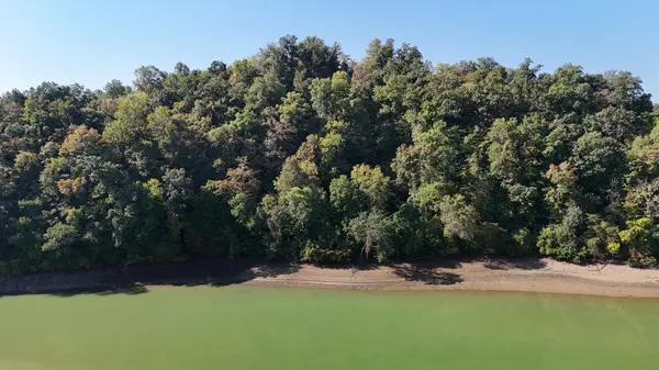 23 Caywood Rd, Dandridge, TN 37725