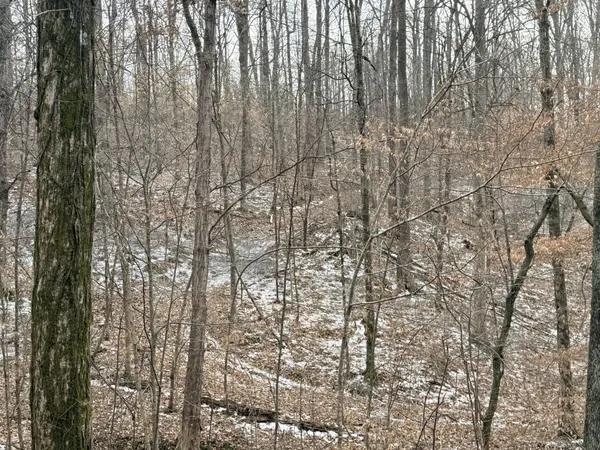 0 Scott Branch Rd, Hampshire, TN 38461