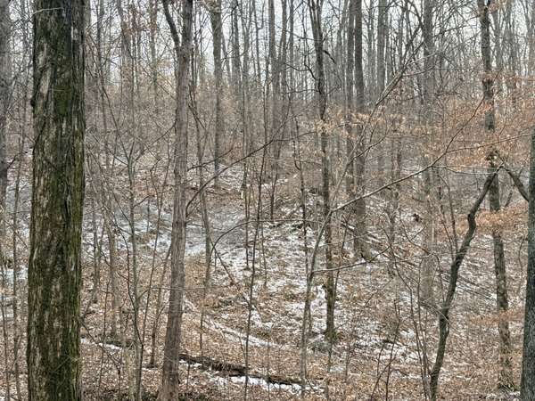 0 Scott Branch Rd, Hampshire, TN 38461