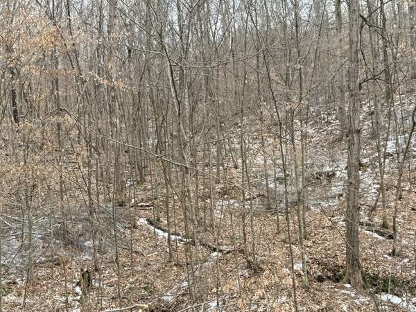 0 Scott Branch Rd, Hampshire, TN 38461