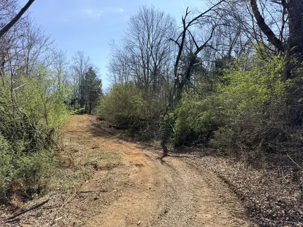 0 Scott Branch Rd, Hampshire, TN 38461