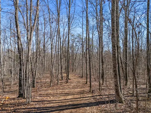0 Bridal Veil South, Monteagle, TN 37356