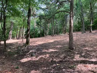 3076 Carters Creek Pk, Franklin, TN 37064