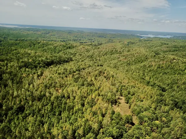 0 Richland Ridge Rd, Waverly, TN 37185