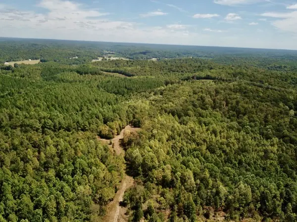 0 Richland Ridge Rd, Waverly, TN 37185