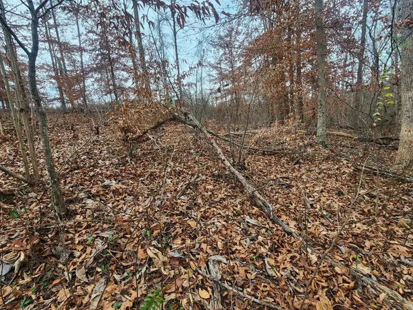 0 Peninsulas Edge Dr #S, Smithville, TN 37166