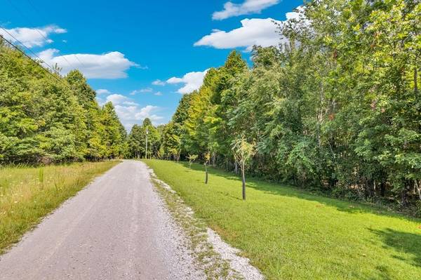 1280 Soak Creek Ln, Grandview, TN 37337