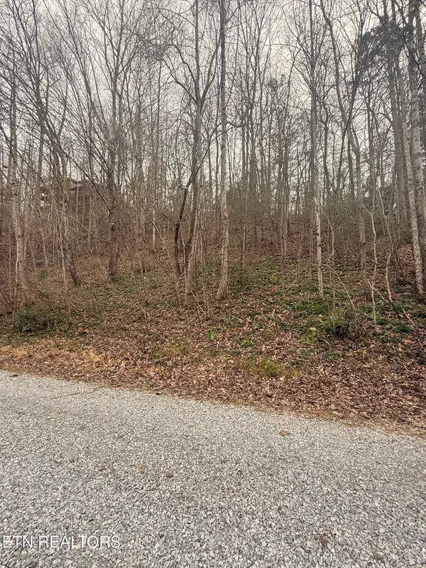 0 Lakeview Drive, Sevierville, TN 37876