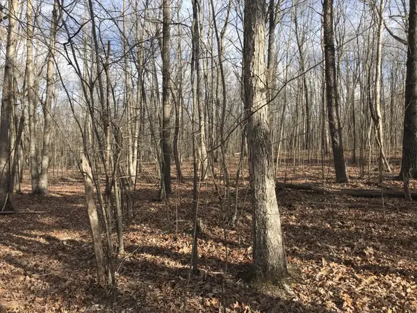0 Greenfields Way N, Dunlap, TN 37327