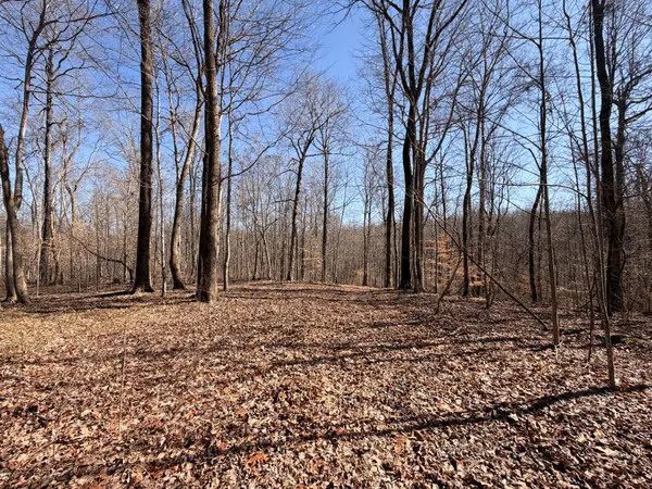 0 Tonya Trail, Cumberland Furnace, TN 37051