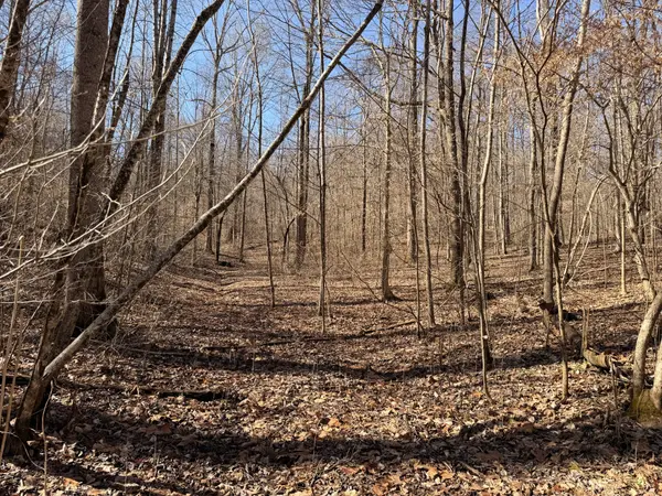 0 Tonya Trail, Cumberland Furnace, TN 37051