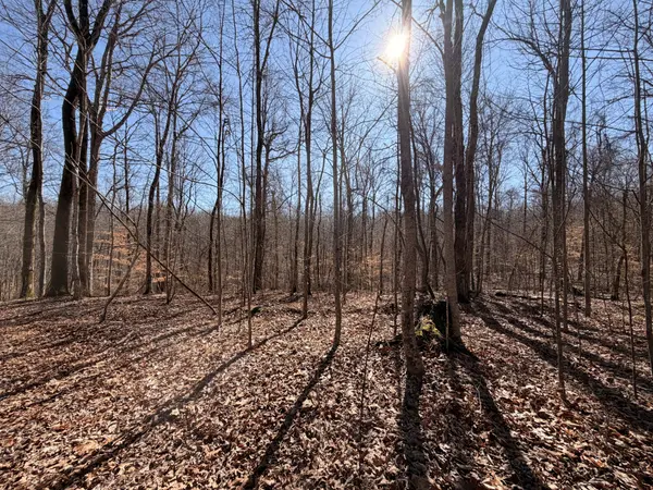 0 Tonya Trail, Cumberland Furnace, TN 37051