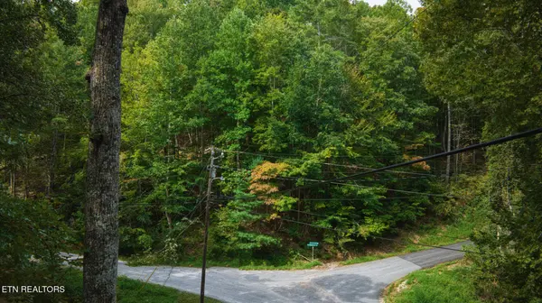 0 Stepping Stone Drive, Sevierville, TN 37862