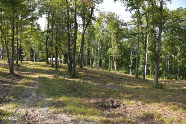 566 William Branch Rd, Lancing, TN 37770