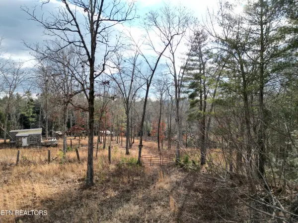 566 William Branch Rd, Lancing, TN 37770