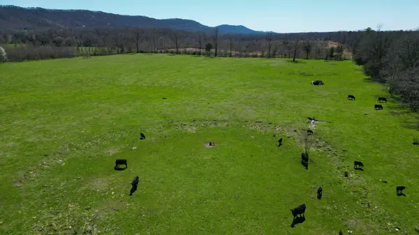 0 Ooltewah Georgetown Road, Ooltewah, TN 37363