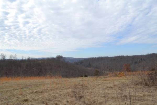 127 Rushing Springs Rd, Monterey, TN 38574